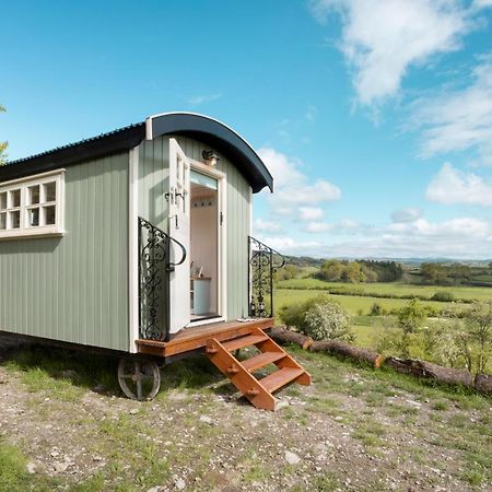 The Heron Shepherds Hut At Lyth Valley Brigsteer Ngoại thất bức ảnh
